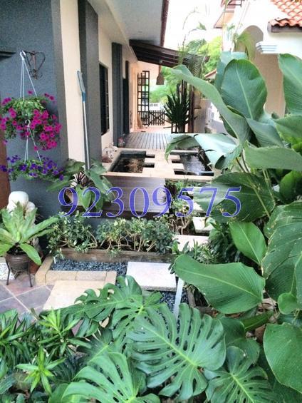 Bedok Pesari (D16), Semi-Detached #150807432